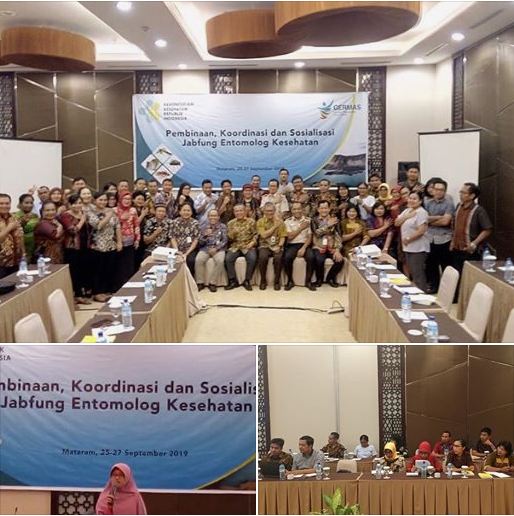 Sosialisasi Jabatan Fungsional Entomolog Kesehatan